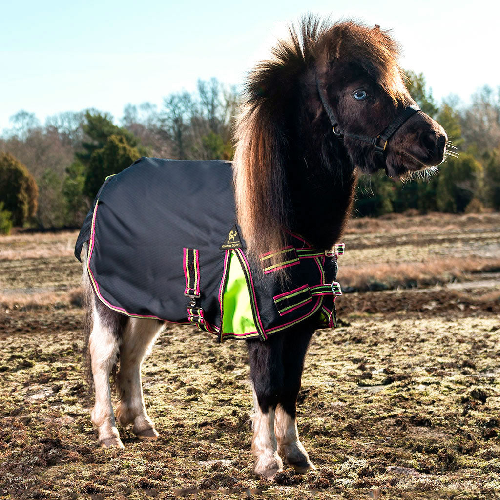 REGN- & UTEGÅNGSTÄCKE "Globus - Miniatyr" - Svart