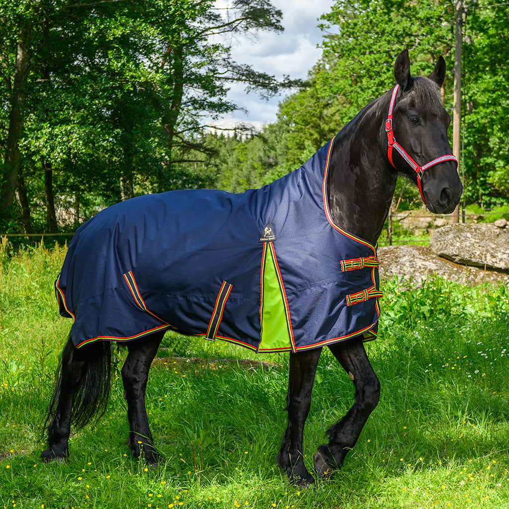 REGN- & UTEGÅNGSTÄCKE "Globus - Miniatyr" - Marin