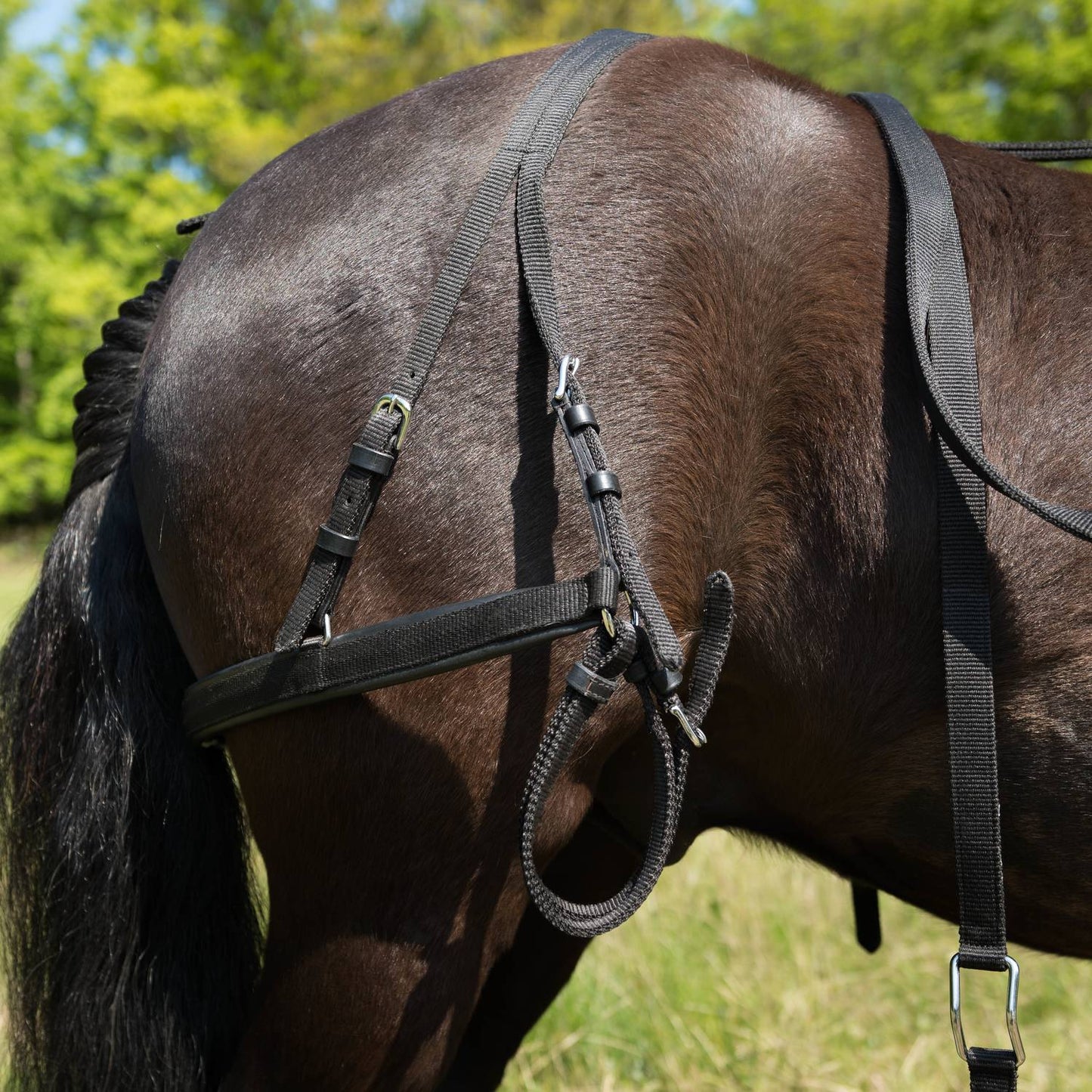 BRÖSTSELE "Globus Rocky" Minishetland