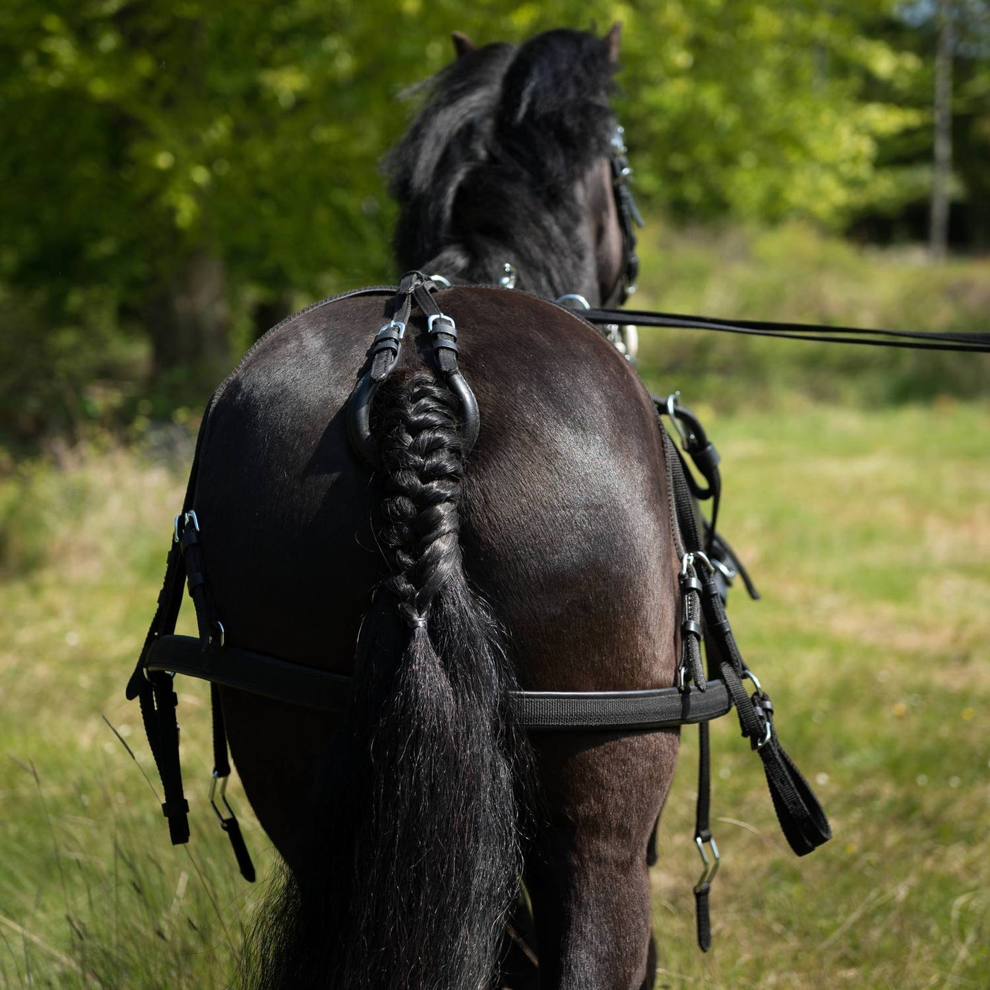 BRÖSTSELE "Globus Rocky" Minishetland
