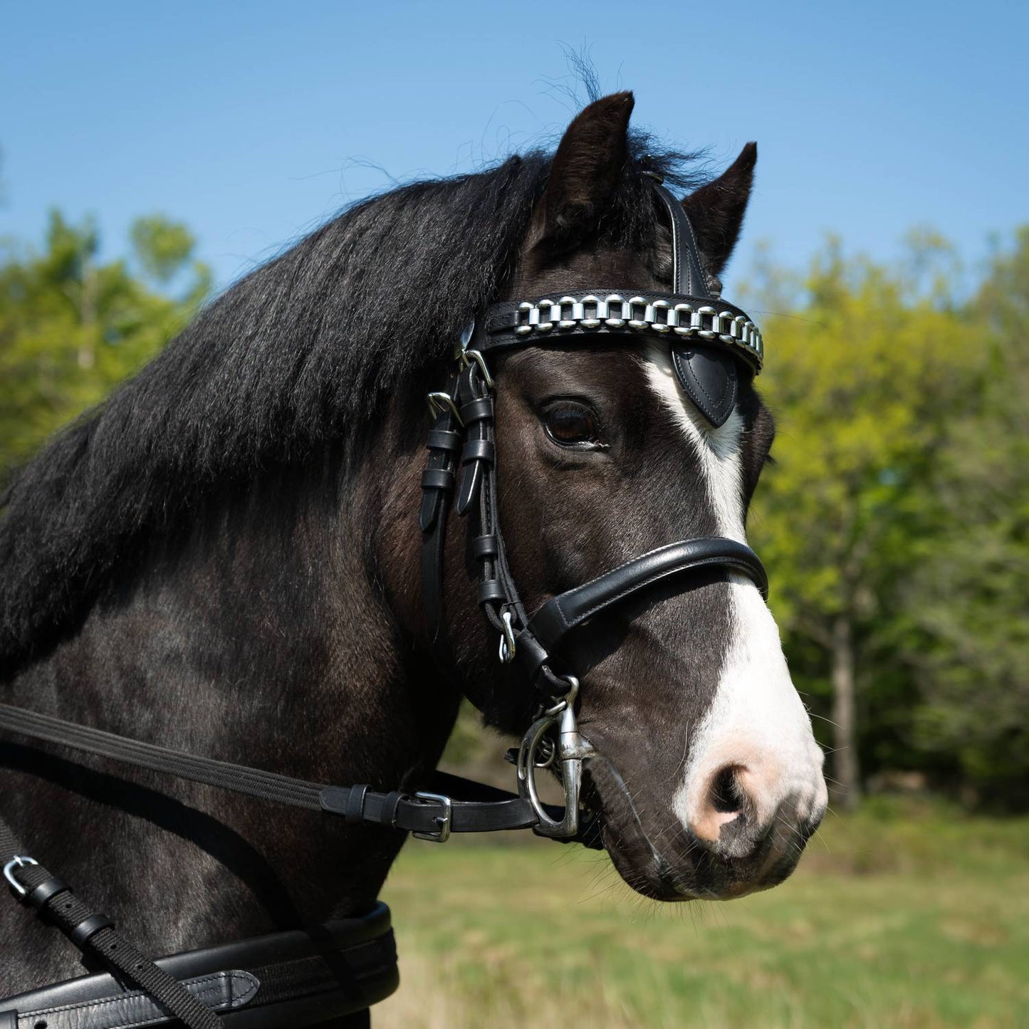 BRÖSTSELE "Globus Rocky" Minishetland