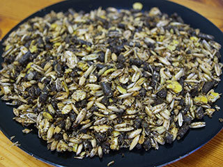 LYMPOS - Avel/Ung 25 kg